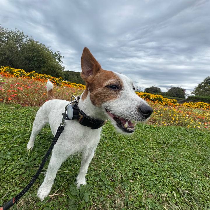 1313db0b d079 4fd3 8c6c cf066746fdff 1760963527639