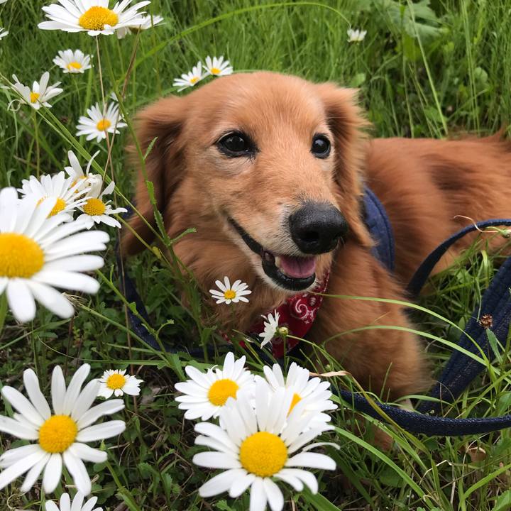 13140495 da9e 4577 ae2c 4c92b286e71d 1590904054706