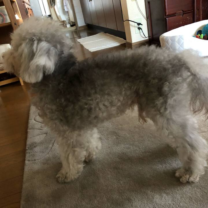 13143a47 31b9 4abd a922 89b664bda3a1 1632181676446