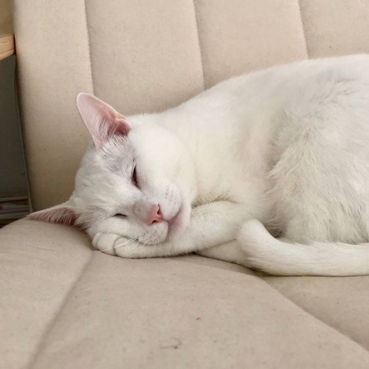 13143d15 0009 42a9 b5c4 7a09d9676e55 1524923419180