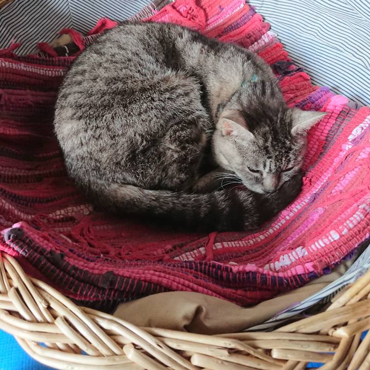 13146b29 64cc 4047 9647 701cd03d4bfc 1558233872594