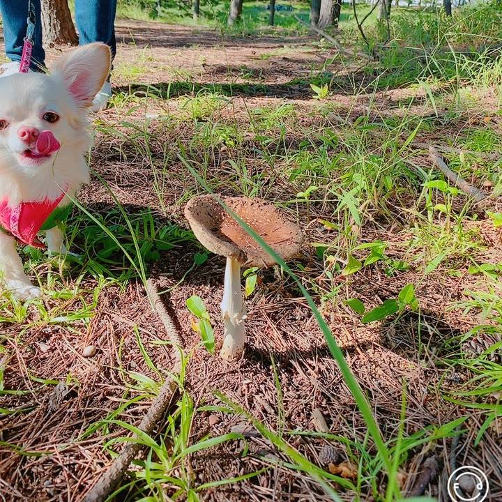 13147c3e 73b2 4982 8046 7d74a78c6882 1632135298238