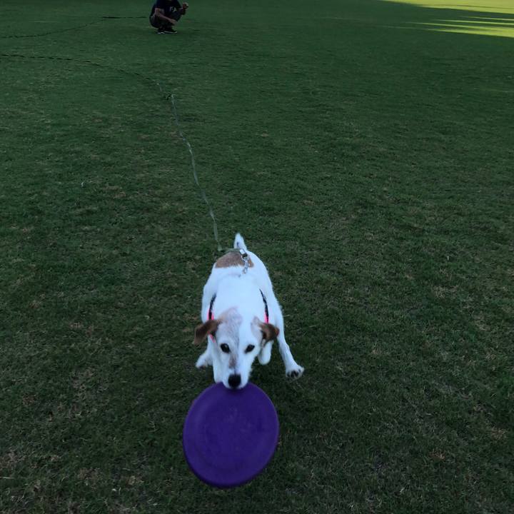 13148598 0dd2 438d b741 a6a756c91a12 1531045062586