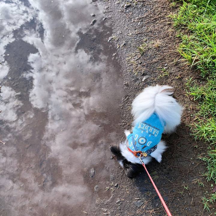 1314a2a0 8f8b 4efa b3b4 37664e033184 1596239894304