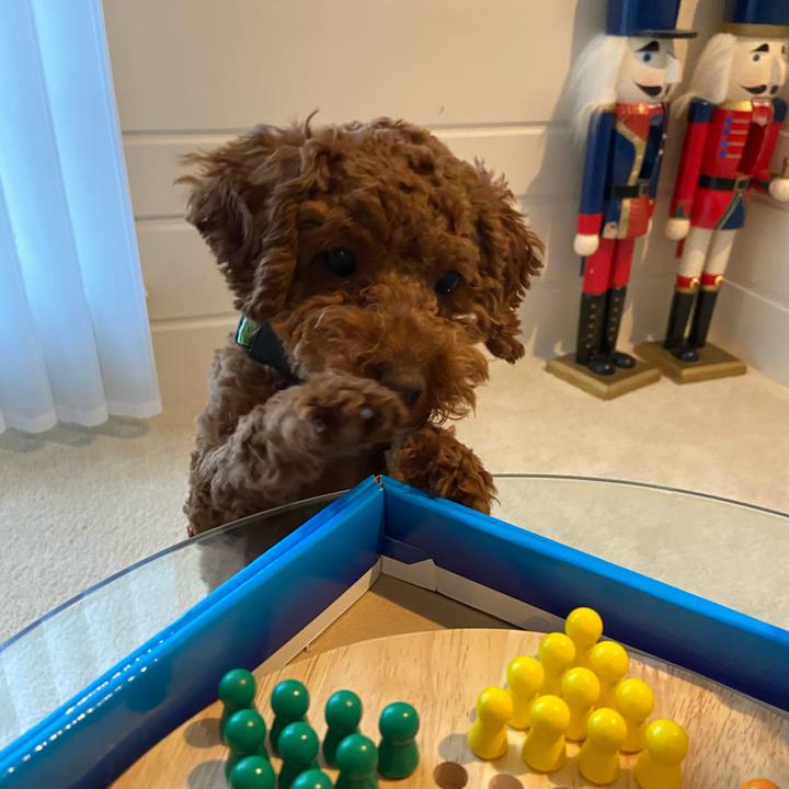 13150933 212f 4321 8131 d180fe5d831b 1583892159089