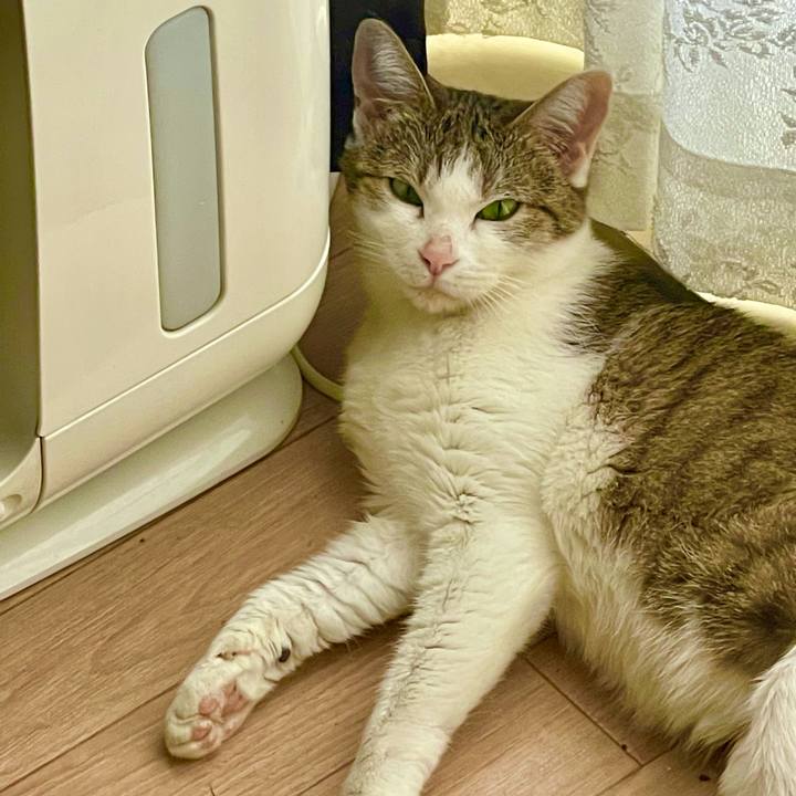 131511f8 044a 4449 a58b 8cf6356c3392 1630202981639