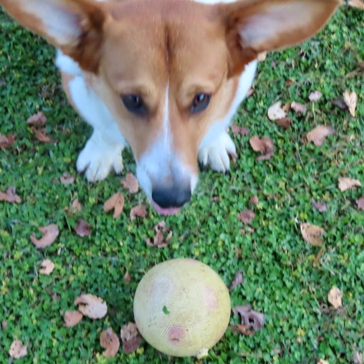 13154fae 467a 4195 87d9 7fa969319d49 1635731550868