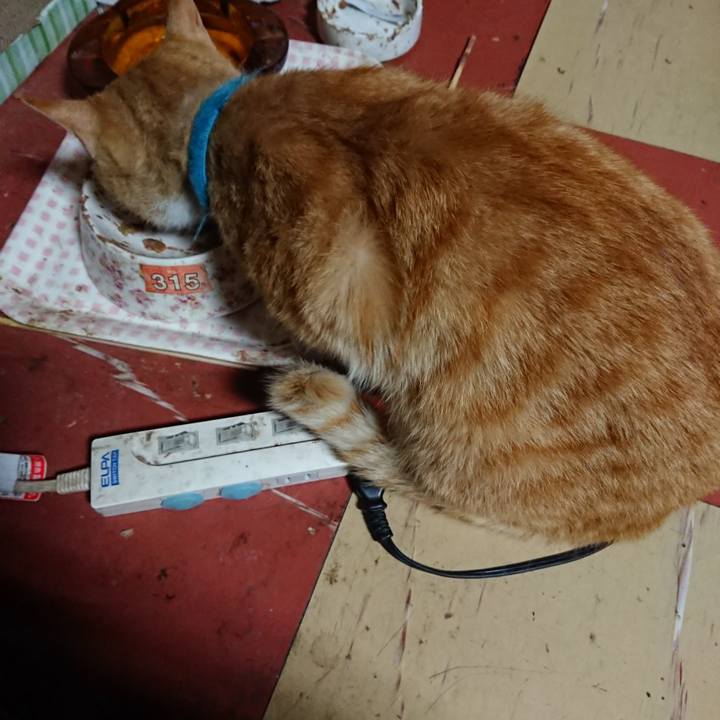 1315a2ed 95db 4108 b9d5 eefa2593504a 1557347677824