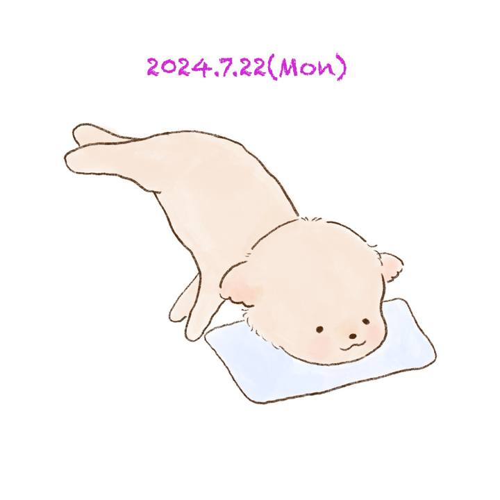 1315b39c 3d16 4e6b 9158 d8dab85ac3e4 1721654196435