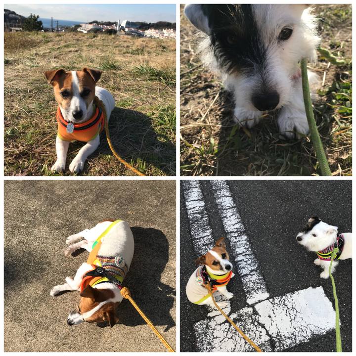 1315e030 10e4 4376 965e a58571db2ee9 1513560156954