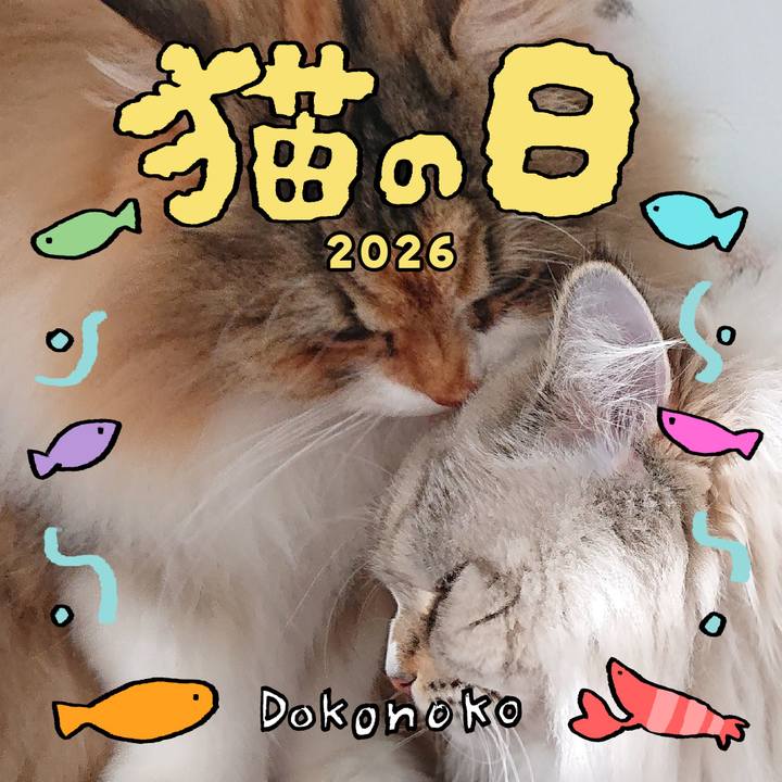 13164224 4cac 409a ac25 c016817ade0b 1771736803686