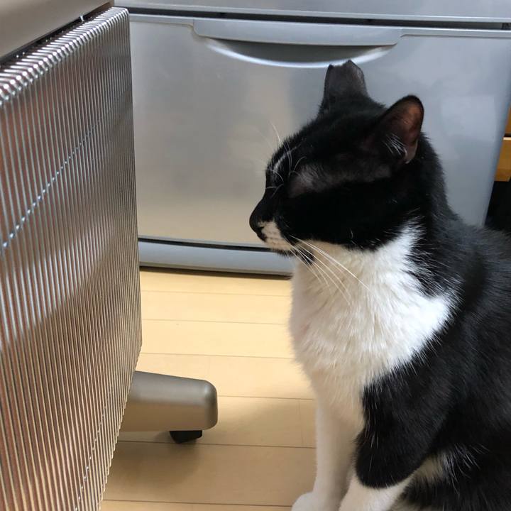 131686eb 9891 4d28 bce4 ccfe1af1aae0 1545631210828