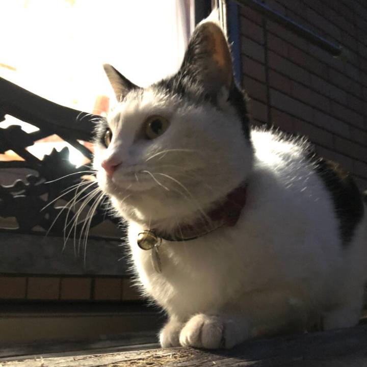 1316b715 4fc4 4710 a8a0 a663d309b678 1615296233577