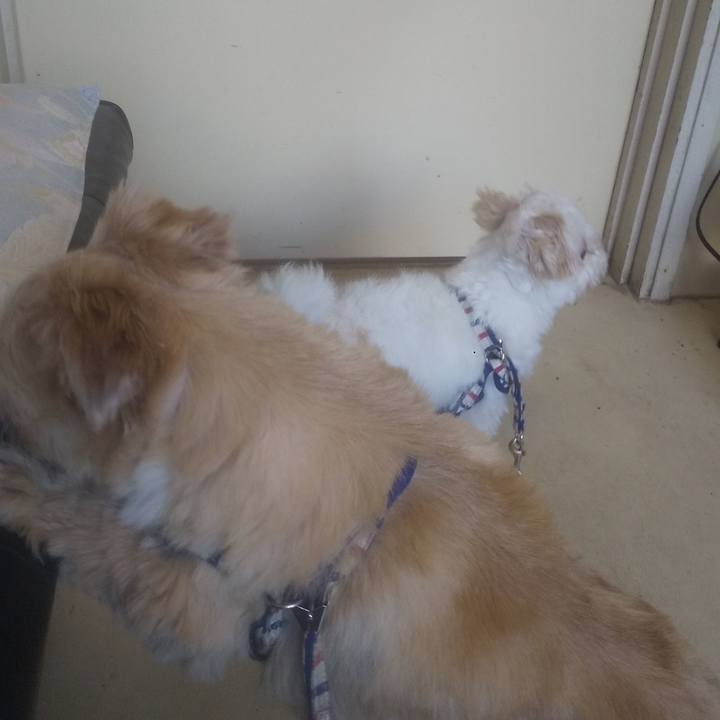 1316b7f9 7f66 4611 8af2 310c7fdc5d41 1744773855433