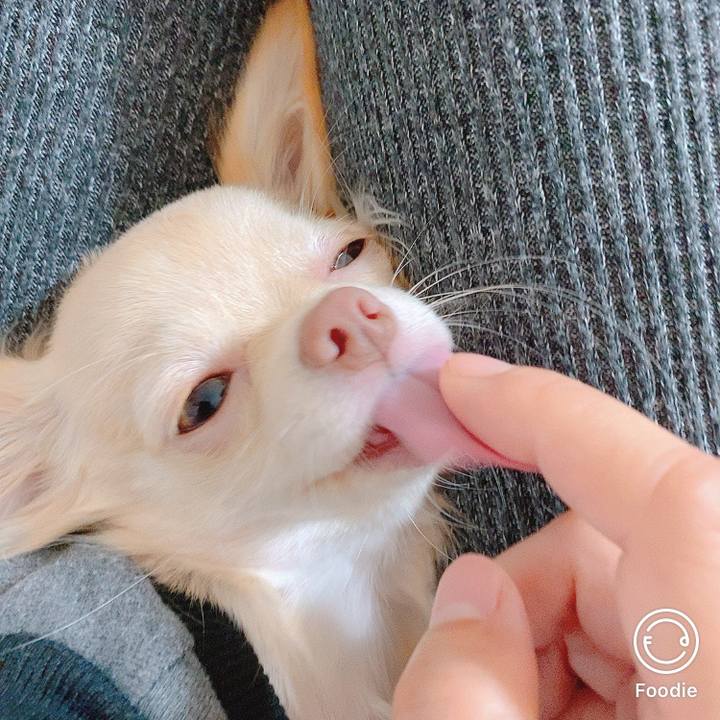 1316c4cb 9e4e 4538 a0f0 7972ea1494e4 1602901733693