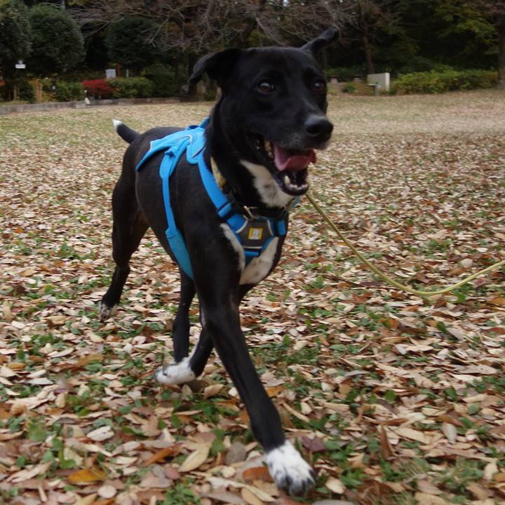 13177ecc ee08 4ffb 81f2 dbe0ffe4790b 1606177880225