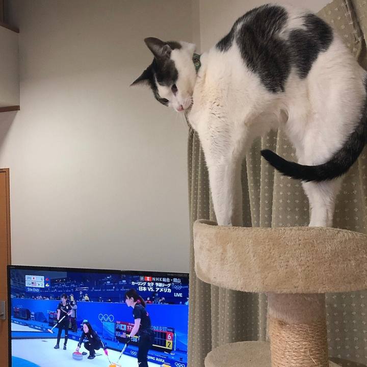 131797b3 8608 41b4 aaa7 7224be02fe7c 1645017817256