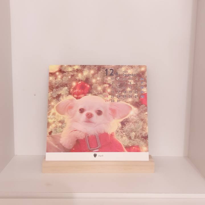 1317dfb8 ca7c 42ed ab51 dab29b8b583a 1733487794026