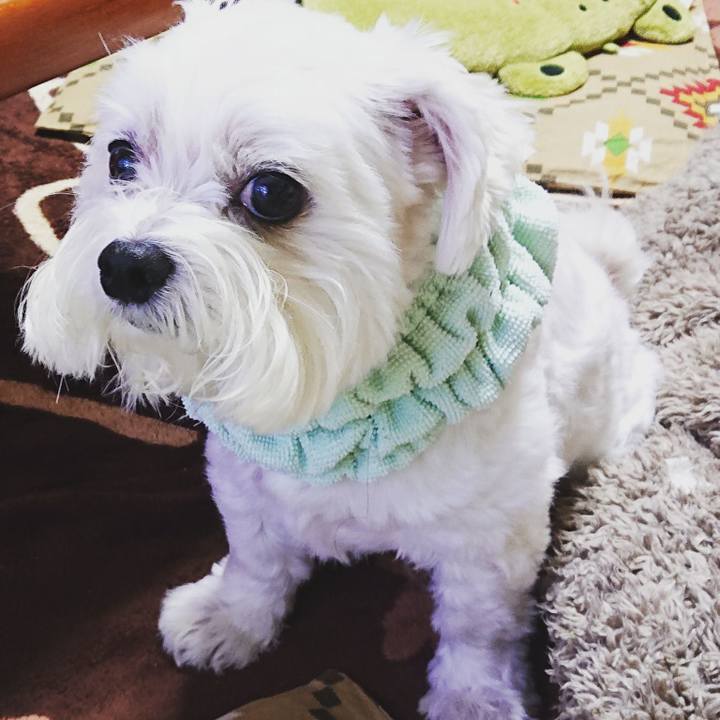 1317e7bc 75da 4730 ba86 af01d4d2a3fa 1570102065366