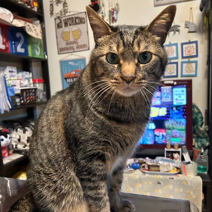 1318122a a4eb 4b41 8229 c560db1916e6 1683722821522