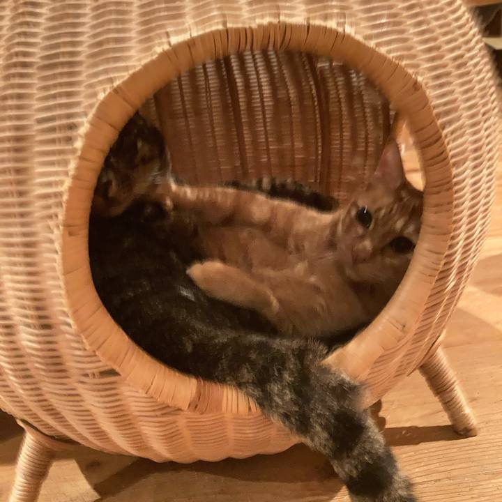 13181c1d 2ced 49df 9bc4 ab7191be2f92 1667607882812