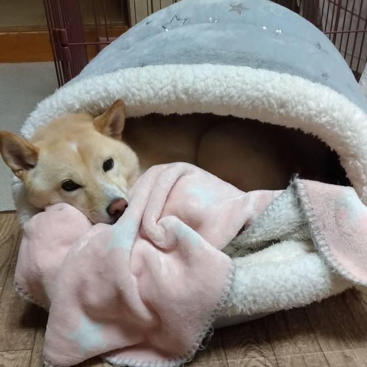 13182b70 c383 4817 9480 4c855ac67f4b 1603416815663