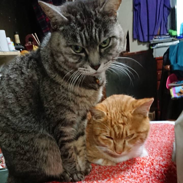 13183ee4 851a 41bc b390 c139ddff6a91 1608115459692