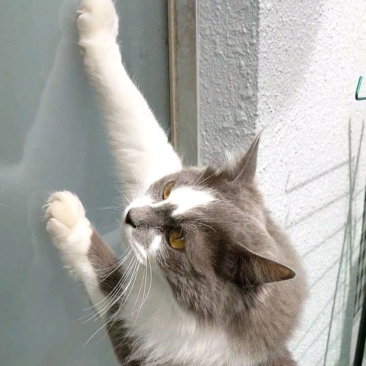 131849bf c5fe 4153 a183 0ed76ce9d3d2 1585465569926