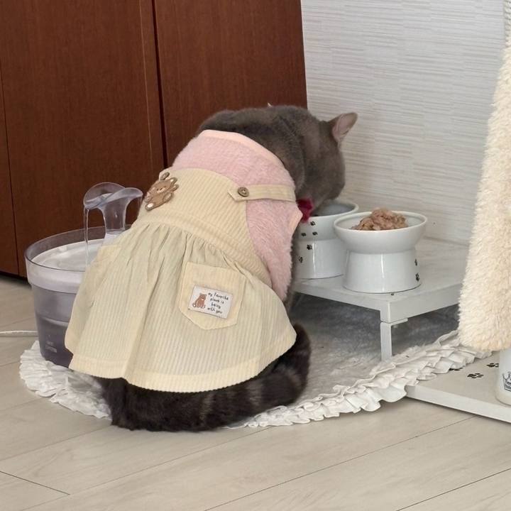 13185db4 e400 48bd 822d 3aeaa56a70db 1740652106621