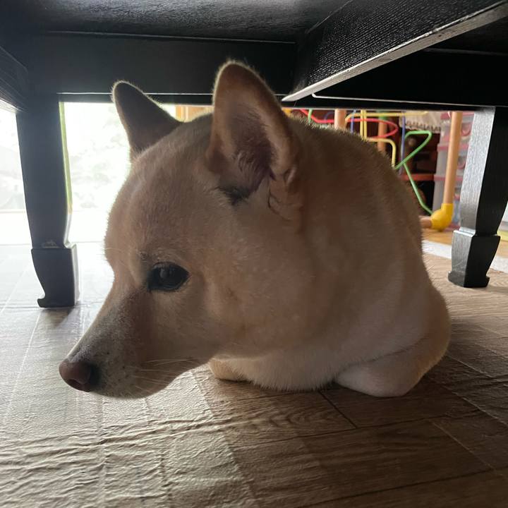 13186fb8 db76 4fe2 8a22 cddb56af7e55 1661824864319