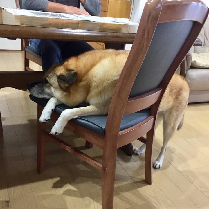 131875b1 0182 4265 bed0 3ee2a0de2f08 1540252276448