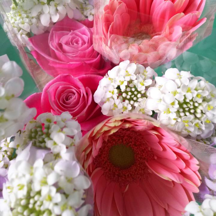 13187d60 091d 4a92 a4e0 8daab1f8fbd7 1550631141221