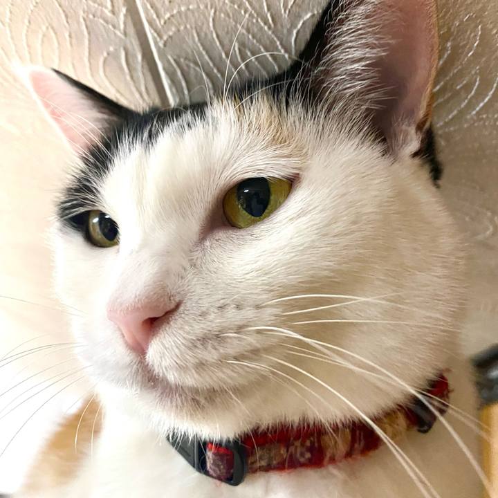 1318918f 8d34 4b1c 9d2c 95463adb33ff 1701522363422