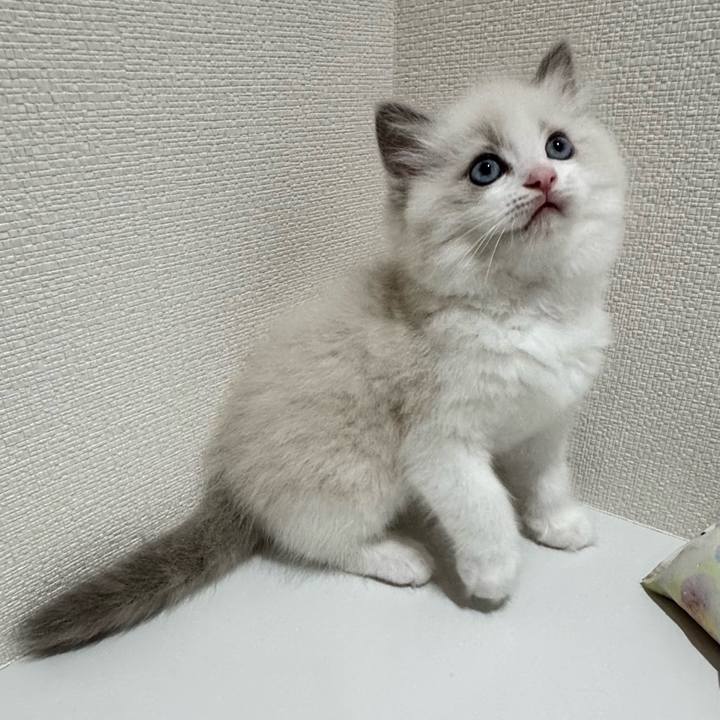 1318abe3 d74d 4571 a1ca 9e04b889125b 1752385589456