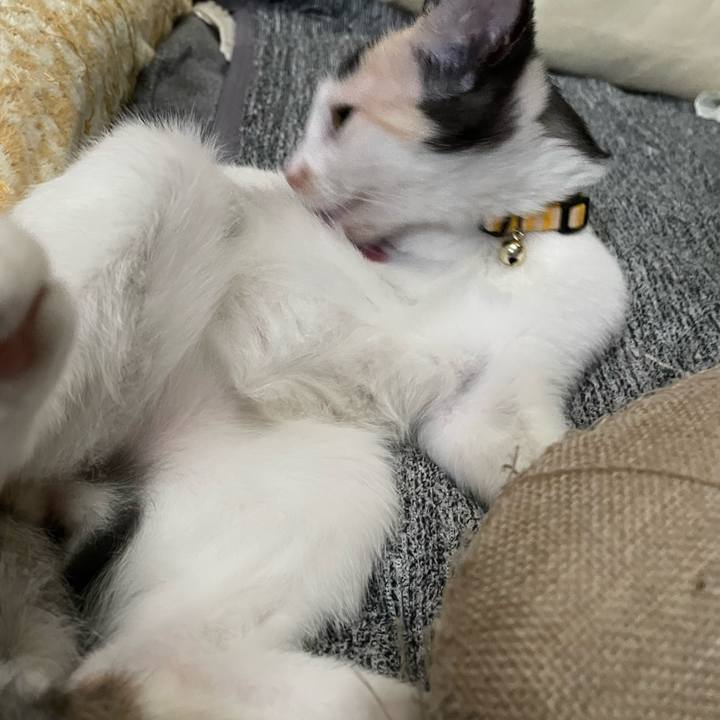 1318b855 d7a2 4ee1 8df6 0b3a290b733e 1662590828712