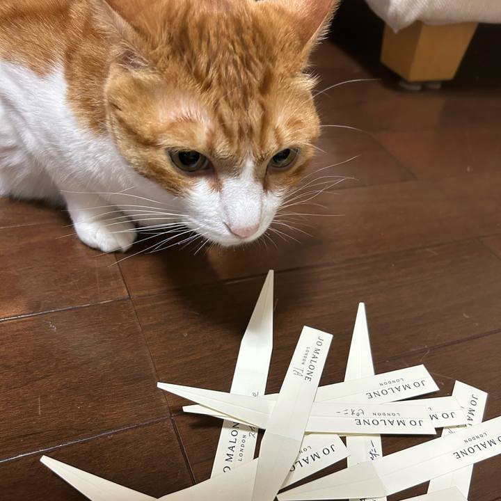 1318c0e8 7d67 4e3f 9853 ca6eba01185b 1759143974632