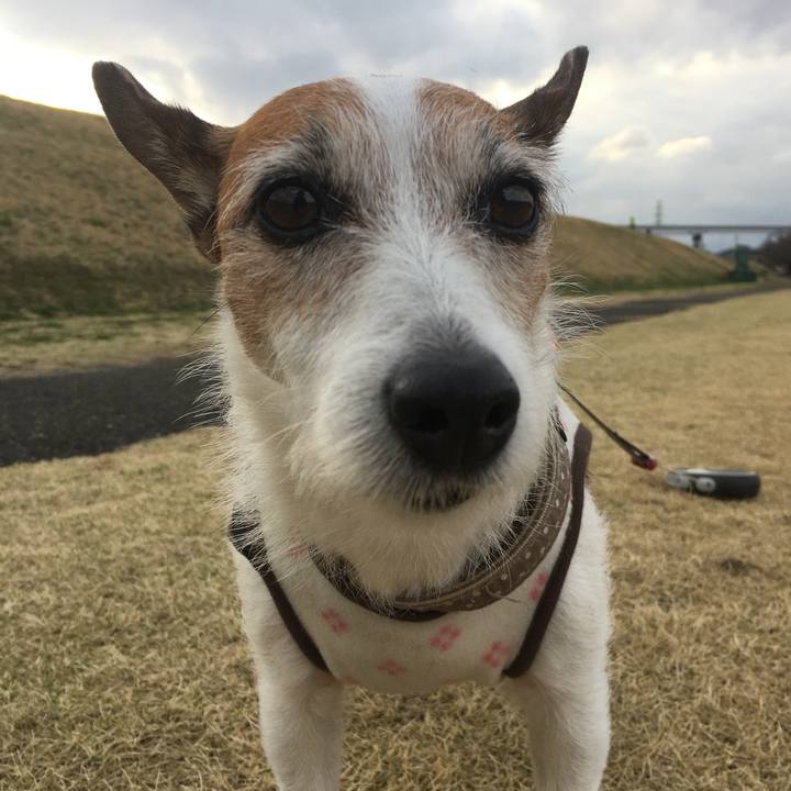 1318cb46 1546 4f29 8c8e ac89f830438b 1616455189279