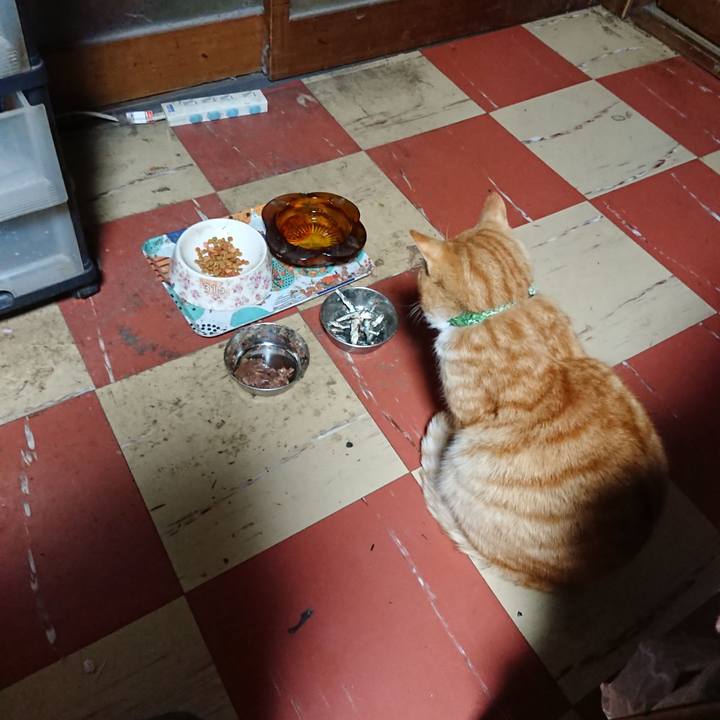 1318db0f f359 4328 87c4 50af2c46ec28 1585166478608