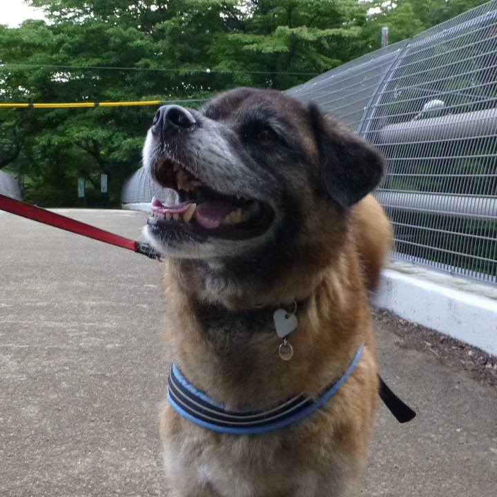 131900ac 0bd1 4e78 9ddc 01502721e296 1578958581086