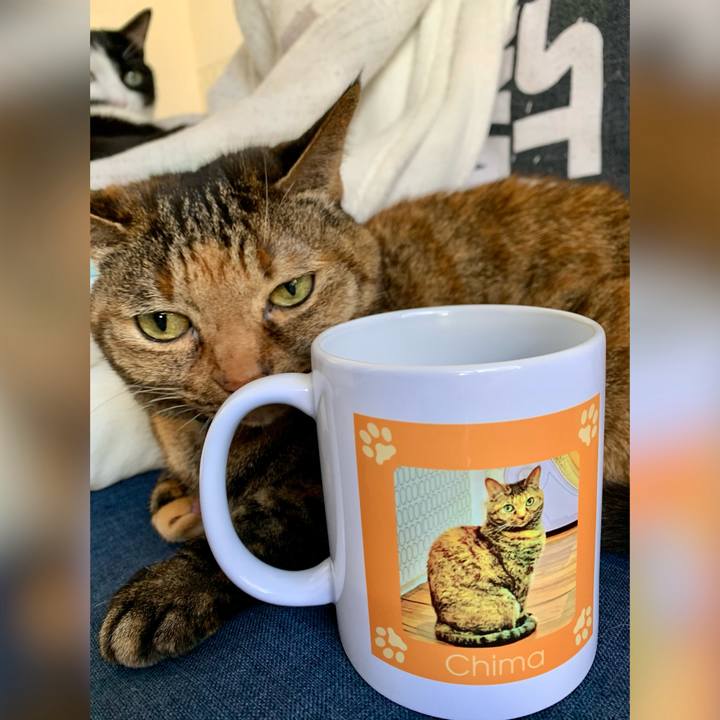 13191f75 3473 4af5 95ff f5d799addafd 1707702172472