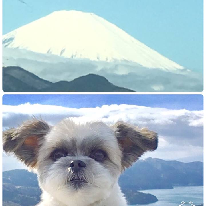 131926e4 0cac 4a30 94f7 3a1956172fd0 1521411912918