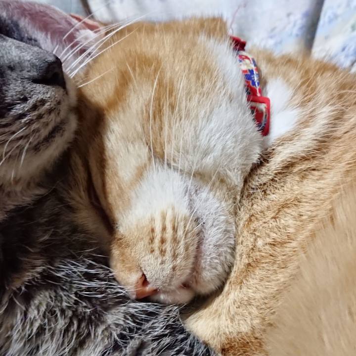 13196c30 1e7d 4c22 b49a dbf15855efda 1578833834046