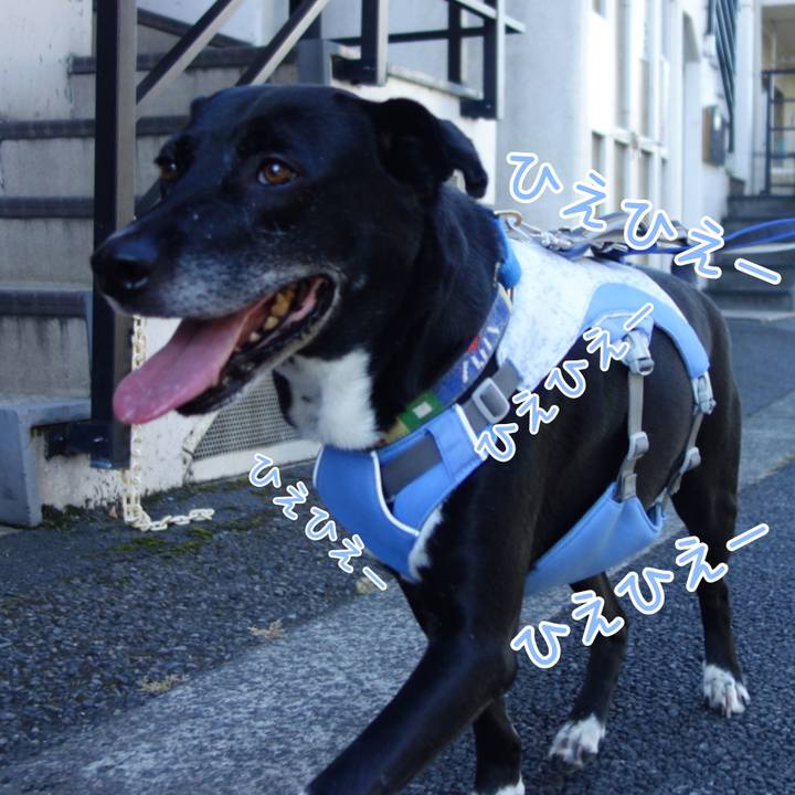 131976a8 e4cb 4e69 abc6 0b52607136eb 1691021081106