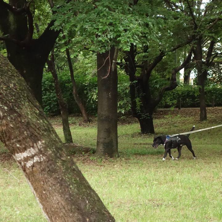 13197e3d d3be 47e2 b36e da784bacdeab 1653180506589