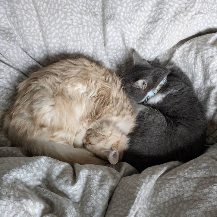 131985de 06a4 4a19 a723 8deed3ea0e05 1764726797116