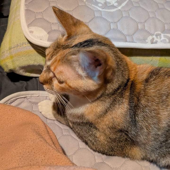 131991b3 8621 4502 99cf 213a64fbbb9f 1762191766633