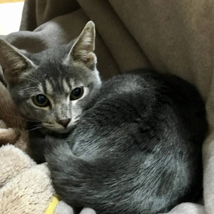 1319967d 86af 46e7 82f0 925123bdd495 1574936784066