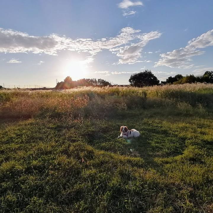 1319a3de 0acf 46fb 8c03 a573df4bcad7 1632741612240