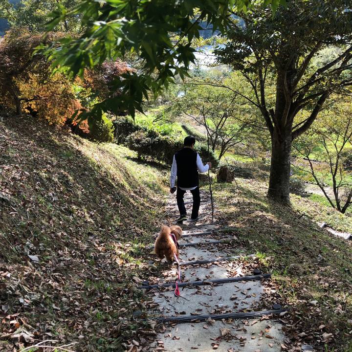 1319b46d c988 4f0c ad71 e93fea68a0e0 1540008561726