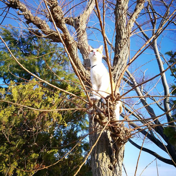 1319ccf0 ccd6 43a8 8f7c d21d9304ce37 1517642544189